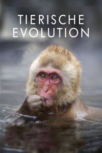 Cover Tierische Evolution mit David Attenborough, Poster Tierische Evolution mit David Attenborough