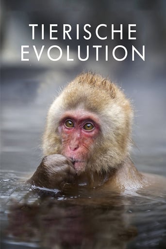 Tierische Evolution mit David Attenborough, Cover, HD, Serien Stream, ganze Folge