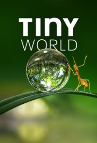 Cover Tiny World, TV-Serie, Poster