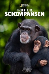 Cover Triff die Schimpansen, Triff die Schimpansen