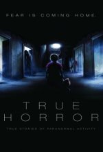 Cover True Horror (2018), Poster, Stream