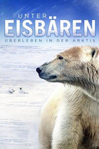 Unter Eisbären - Überleben in der Arktis Cover, Poster, Unter Eisbären - Überleben in der Arktis DVD