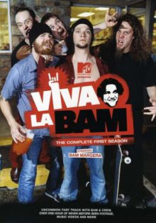 Cover Viva la Bam, TV-Serie, Poster