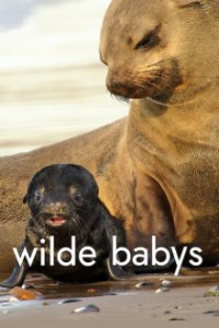Cover Wilde Babys, TV-Serie, Poster