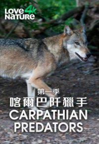Wilde Karpaten Cover, Poster, Wilde Karpaten DVD