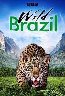 Wildes Brasilien, Cover, HD, Serien Stream, ganze Folge