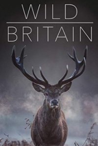Cover Wildes Großbritannien (2018), TV-Serie, Poster