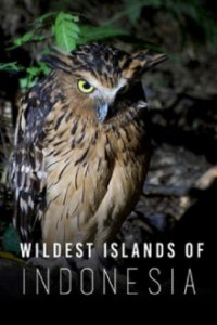 Wildes Indonesien Cover, Poster, Wildes Indonesien DVD