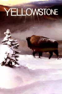Yellowstone Nationalpark Cover, Poster, Yellowstone Nationalpark