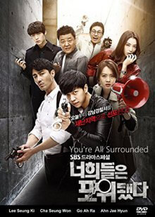 You're all Surrounded Cover, Poster, You're all Surrounded DVD